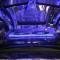 American Car Craft 2010-2012 Mustang GT - Illuminated 5.0 Hood Panel Vanity Plate, Perforated, Choose LED Color 273037