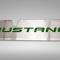 American Car Craft 2015-2017 Mustang GT/EcoBoost - Radiator Cover Vanity Plate 'MUSTANG', Brushed, Choose Color 273072