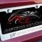 American Car Craft Mustang GT - Custom COYOTE License Plate Frame, Stainless Steel, Choose Inlay Color 272031