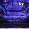 American Car Craft 2010-2012 Mustang GT - Illuminated 5.0 Hood Panel Vanity Plate, Perforated, Choose LED Color 273037