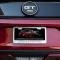 American Car Craft Mustang GT - Custom COYOTE License Plate Frame, Stainless Steel, Choose Inlay Color 272031
