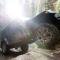 BFGoodrich BFG All-Terrain T/A KO2 Tire LT285/75R16/E 700879