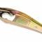Hays 1994-2004 Ford Mustang Clutch Fork 84-100