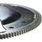 Hays Performance Flexplate 40-506