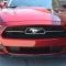 American Car Craft Mustang GT - Custom COYOTE License Plate Frame, Stainless Steel, Choose Inlay Color 272031