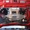 American Car Craft Mustang GT - Custom COYOTE License Plate Frame, Stainless Steel, Choose Inlay Color 272031