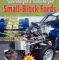 Cartech Auto Books How to Build Supercharged & Turbocharged Small-Block Fords SA95P
