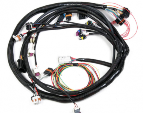 Holley EFI 5.0L Ford Engine Main Harness 558-128