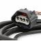 Holley EFI Ford GT500 and 3V Drive-by-Wire Throttle Body Harness 558-461