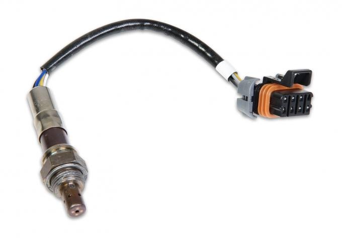 Holley EFI NTK Wideband Oxygen Sensor 554-100