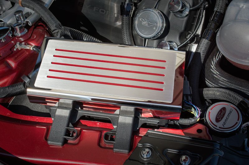 2015-2020 Mustang - Fuse Box Cover - Polished Stainless Steel, Choose