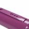 FlowTech Purple Hornies Glasspack 50231FLT