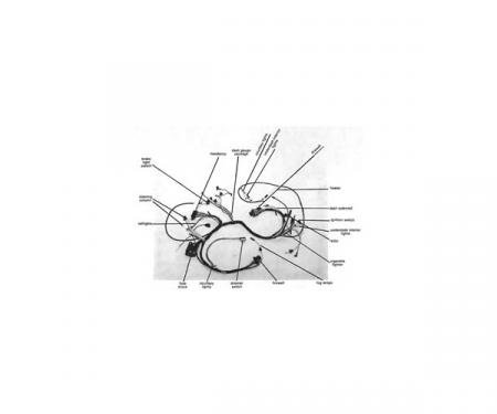 Ford Mustang Dash Wiring Harness - Cars With Alternator & Warning Lights & 2 Speed Blower Motor - Tag Marked M - Before4-1-1965