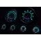 Mustang - New Vintage USA 69 Series DIY Gauge Panel Kit - 6 Gauge Package, Black Dial, 1964-1966 - Programmable Speedometer MPH