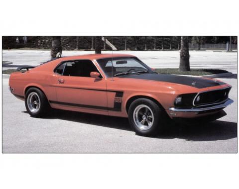 Ford Mustang Exterior Stripe Kit - Boss 302 - White