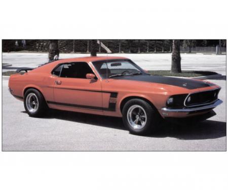 Ford Mustang Exterior Stripe Kit - Boss 302 - White