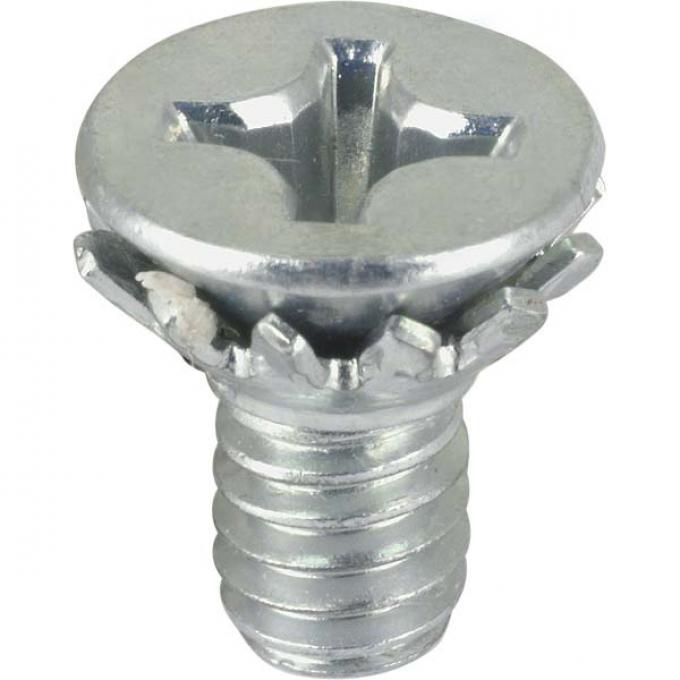 Ford Mustang Door Latch Screw Set