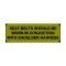 Ford Mustang Decal - Sun Visor - Shelby Seatbelts