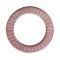 Ford Thunderbird Valve Spring Insert Shim, .060 Thickness, 390 V8, 1961-66