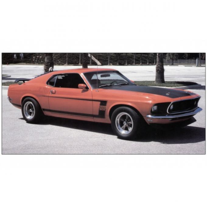 Ford Mustang Exterior Stripe Kit - Boss 302 - Black