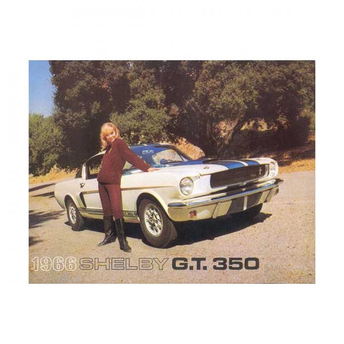 Ford Mustang Shelby Color Sales Brochure - 6 Pages - 8 Illustrations
