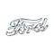 Ford Script Logo, Ford, 3 1/4 L x 1 H, Die Cast Chrome