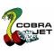 Window Decal - Cobra Jet
