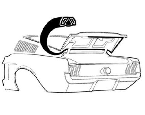 Daniel Carpenter 1967-68 Fastback Trunk w/s C7ZZ-6343720