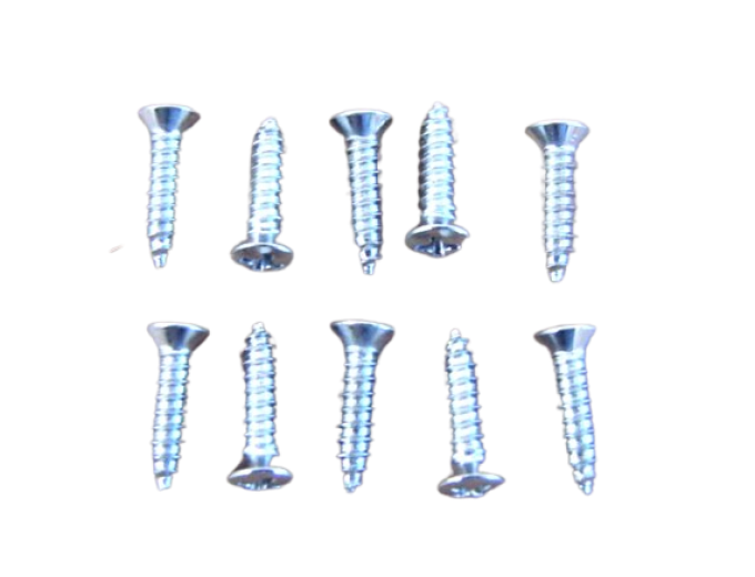 Redline Restomotive® 1964-1966 Ford Mustang 2+2 / Fastback Vent & Trim Panel Screw Set