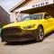 NoviStretch™ 6th & 7th Gen Mustang Front Bumper Mask FBM655M