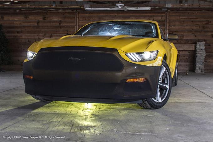 NoviStretch™ 6th & 7th Gen Mustang Front Bumper Mask FBM655M