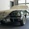 Covercraft 2007-2009 Ford Mustang Custom 5-Layer Indoor Car Cover with Shelby Snake logo C16968FO120IC