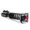 QA1 Proma Star Coilover Strut Kit,05-14 Mustang,Single Adjust,Street HS05-12200