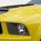 Extreme Dimensions 2005-2009 Ford Mustang Duraflex GT-R Hood 104848