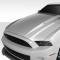 Extreme Dimensions 2013-2014 Ford Mustang Duraflex Cobra R Hood 112398