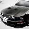 Extreme Dimensions 2005-2009 Ford Mustang Carbon Creations CVX Carbon Fiber Hood 112934