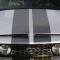 Extreme Dimensions 2005-2009 Ford Mustang Duraflex GT500 Hood 104717