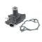 1963-77 Ford, Mercury 289, 302, 351 V8, Cast Iron Water Pump, Brand New, Mustang, Falcon, Comet, Bronco